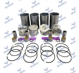 ISUZU LINERS AND PISTONS...