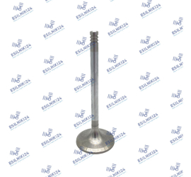 DEUTZ INLET VALVE TCD2012L042V TCD2012L062V MAHLE