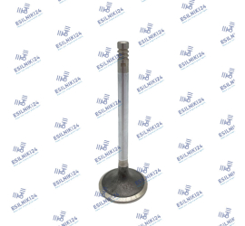 VOLVO INLET VALVE D6D D4D MAHLE