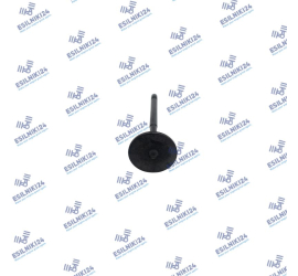 CAT INTAKE VALVE C7.1 C4.4 MAGURO