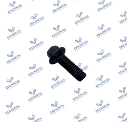 PERKINS AIR EGR PIPE SCREW BL MK GENUINE