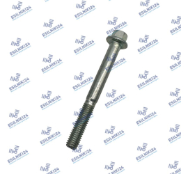 CAT SCREW GENUINE