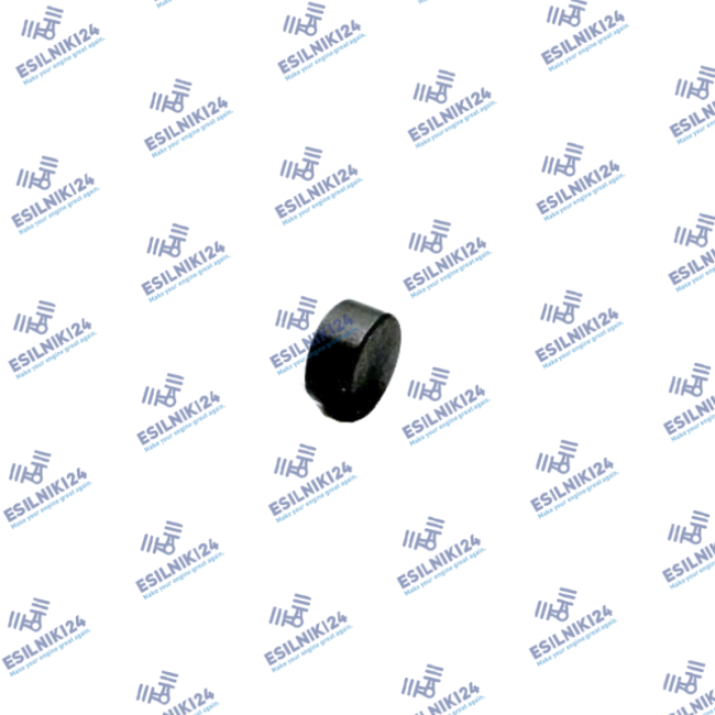8981479450 ISUZU CAP VALVE EX/IN 4JJ1 GENUINE