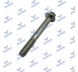 CAT SCREW GENUINE