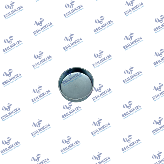 ED0089900730-S KOHLER PLUG 40MM GENUINE