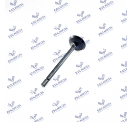 PERKINS EXHAUST VALVE HP GK...