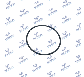 PERKINS SEAL ORING...