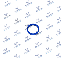 PERKINS SEAL INJECTOR GENUINE